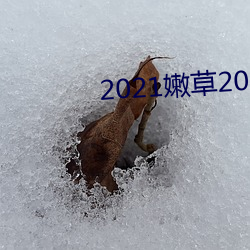 2021嫩草2021地址一地址二 （直观）