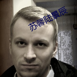 苏馨陆景辰