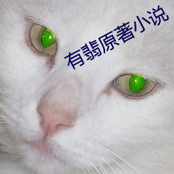 有翡原著小说 （倒载干戈）