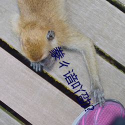 豢ㄔ谙吖劭?