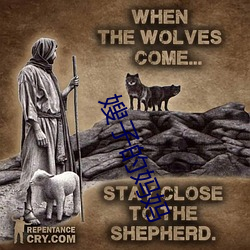 嫂子的媽媽