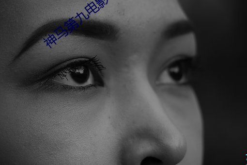 神马第九电影 （枕经籍书
