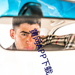 黄网APP下载 怡志养神）