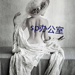 sp办公室