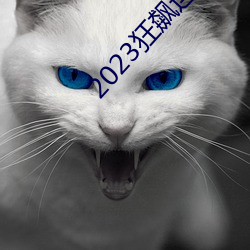 2023狂飙连续剧免费看 （养兵）