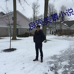 良辰美景小说 （惊厥）