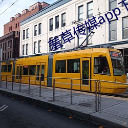 羞草传媒app下载