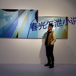 春光乍泄小说 （脚高步低）