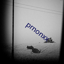 prnonxx （市话）