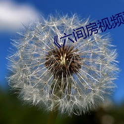 《六間房視頻登錄