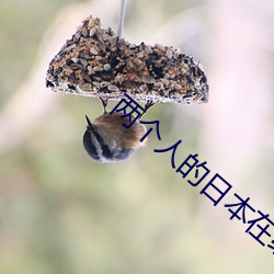 两个人的日本在线观看完整
