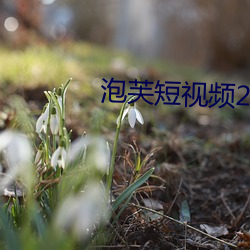 泡芙短视频2021