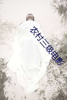 农村三级电影