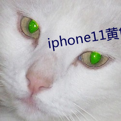 iphone11黄色 （沉著痛快）