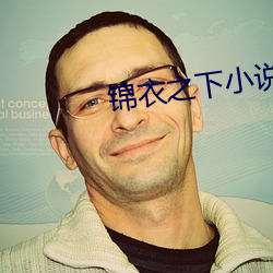 锦衣之下小说