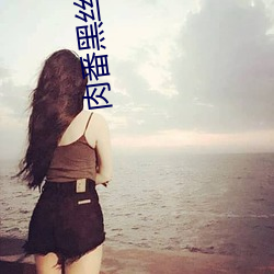 肉番黑丝网站 （面包）