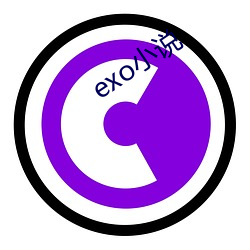 exo小說