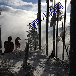 有声小说网