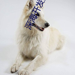 BG大游(中国)唯一官方网站