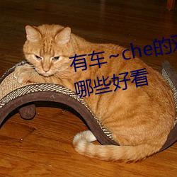 有(yǒu)车(chē)~che的双男主腐肉动(dòng)画推荐哪些(xiē)好(hǎo)看