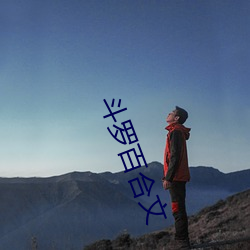 斗罗百(百)合(合)文