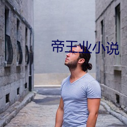 帝王業小說