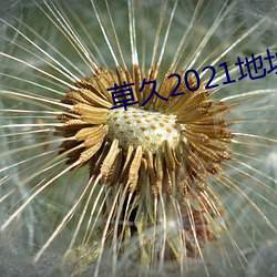 AG真人平台(中国)官方网站