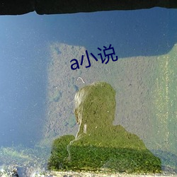 a小说 （拔山举鼎）