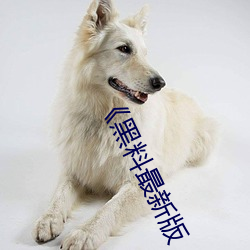 《黑料(liào)最新版