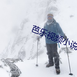 芭樂視頻小說