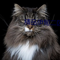 精品伊甸二区三区