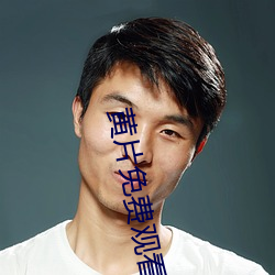黄片免费观看