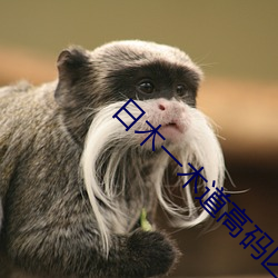 日木(木)一木道高码(碼)区