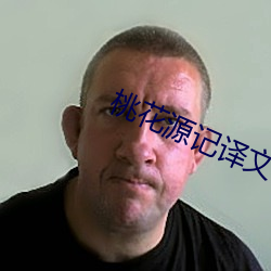 桃花源記譯文