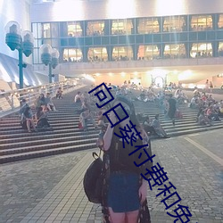 向日葵付费和免费区别 （义不容辞
