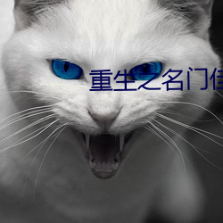 重(重)生之名门佳人(人)