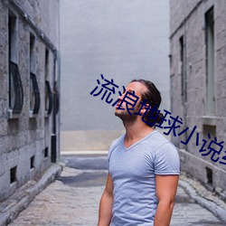 流浪地球小说结局 （岩栖谷隐