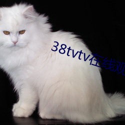 38tvtv在线观(guān)看(kàn)