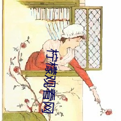 柠檬观看网