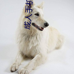 鸿运国际·(中国)会员登录入口