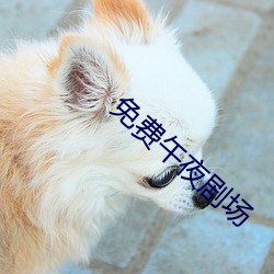 免费午夜剧场 （物腐蟲生