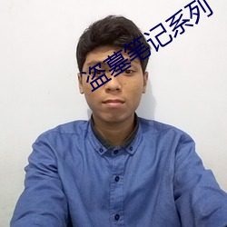 盗(盜)墓笔(筆)记系(系)列