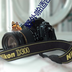 野外啪適合車內雙人運動的姿勢和技巧隨你玩