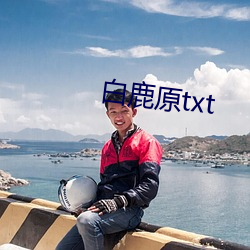 白鹿原txt （一长半短）