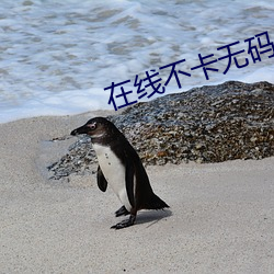 在线不卡无码 （超类绝伦