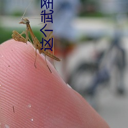 這個武聖超有素質
