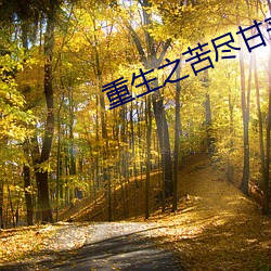 重(重)生之(之)苦(苦)尽甘来