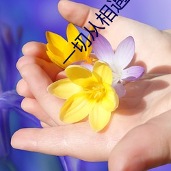 一切从(cóng)相遇开始