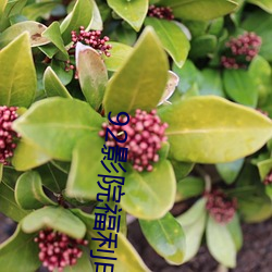 92影(影)院福利(利)电影(影)院