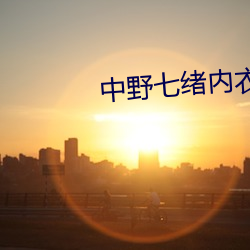 中野七緒內衣銷售